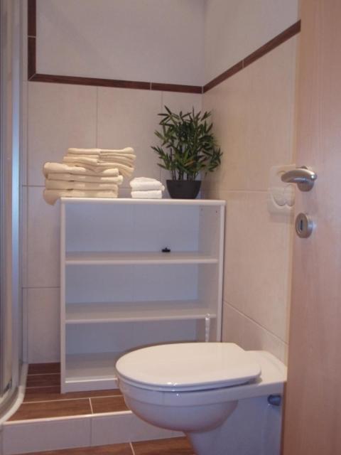 Leirerfeld Apartman Alpbach Kültér fotó